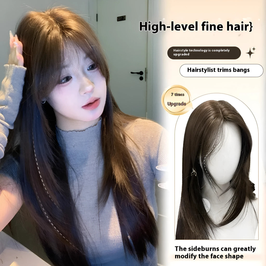 Layered long straight wig in cold brown colour with lace net construction