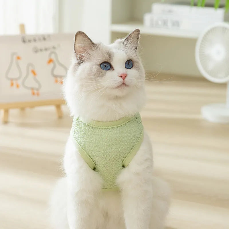 Cat wearing green knitted clothes with a bear patch, showing breathable hollowed-out fabric design.