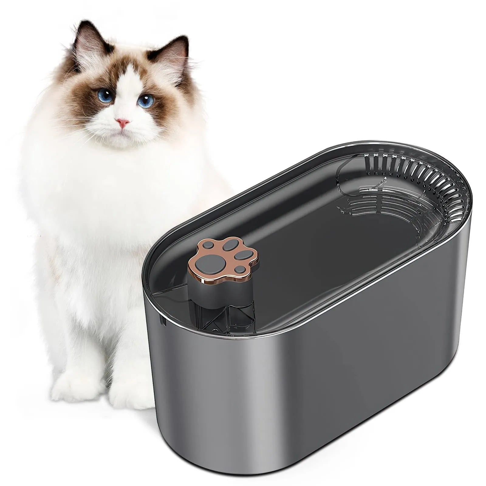 Berlin blue automatic cat water fountain with filter, LED light, and 3L capacity on a kitchen floor.
