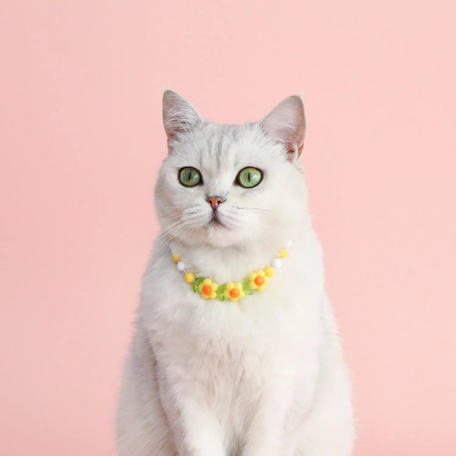 Colourful plastic bead pet necklace adjustable from 15cm to 35cm for cats and small dogs