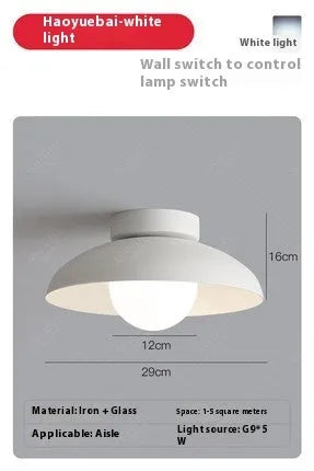Modern Nordic style ceiling lamp with minimalist design in Moon White or Obsidian Black finish