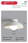 Modern Nordic style ceiling lamp with minimalist design in Moon White or Obsidian Black finish