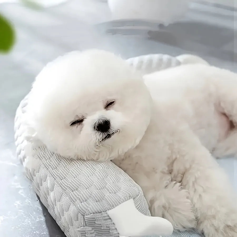 Blue pet bed cushion with big-eyed monster design on a wooden floor.