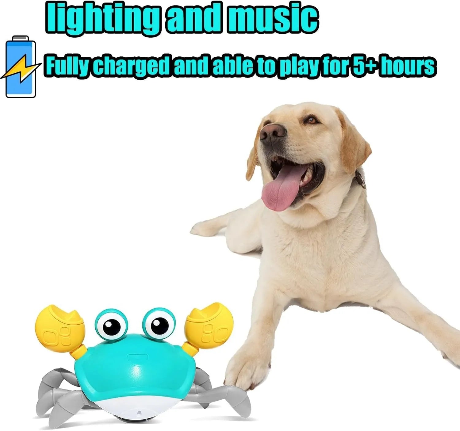 Blue or red crawling crab dog toy with lights, measuring 21.5cm long, for interactive pet play