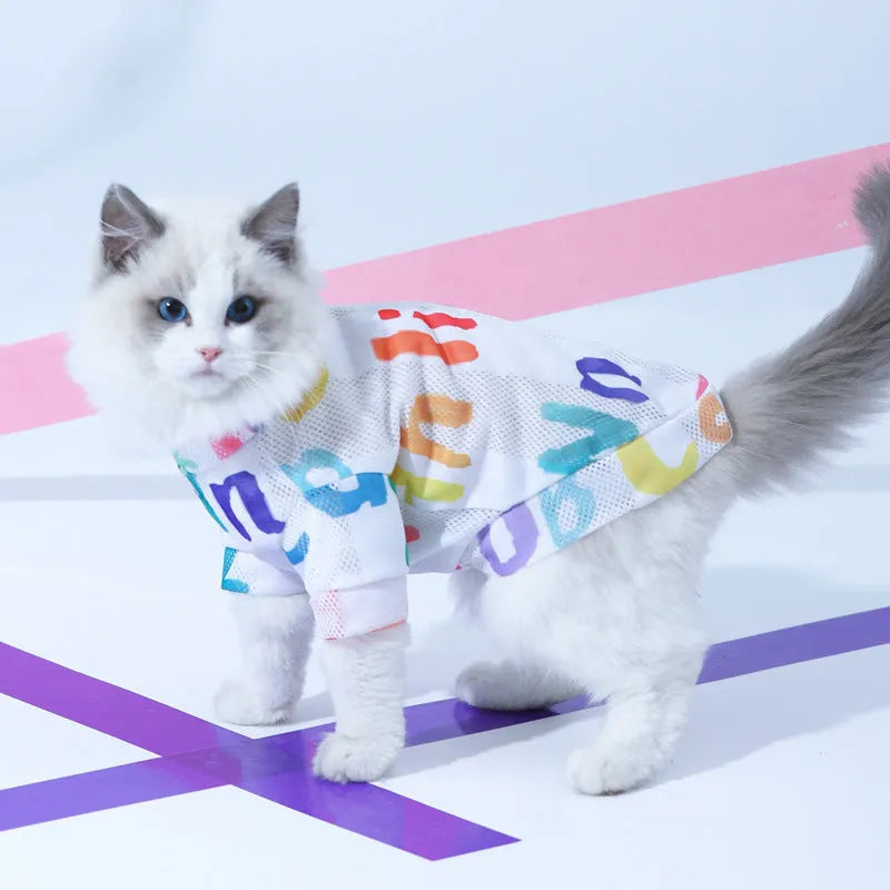 Blue polyester mesh cat vest, anti hair loss pet clothing, XS to 2XL with 34-59 cm bust