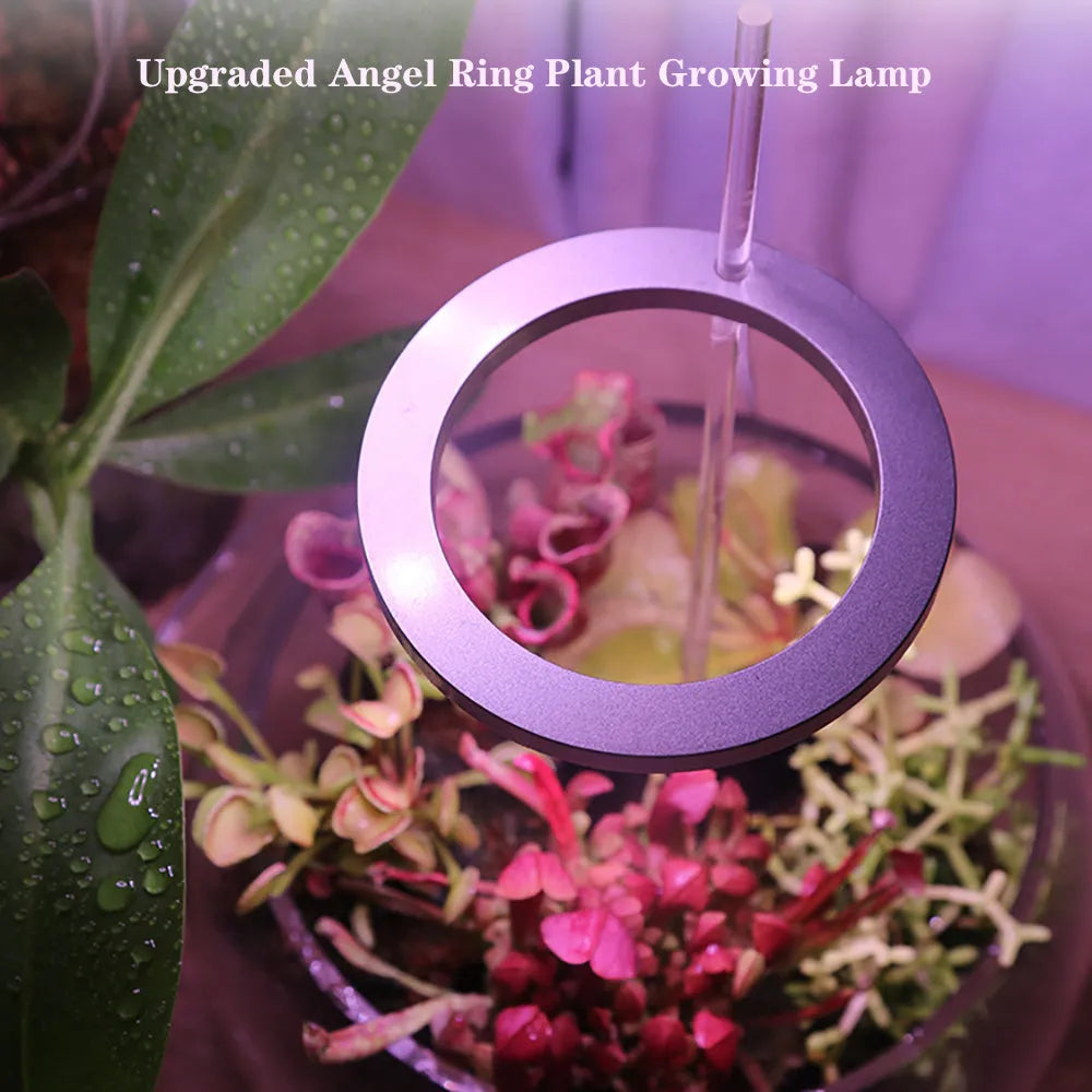 Angel ring shaped USB LED full spectrum grow light for indoor potted plants on a desk.