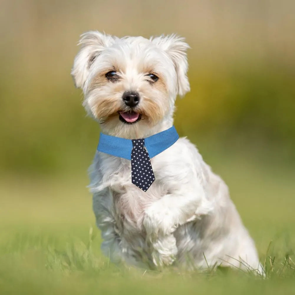 Blue denim dog collar with an adjustable fastener and a choice of bow tie or necktie in a star pattern.
