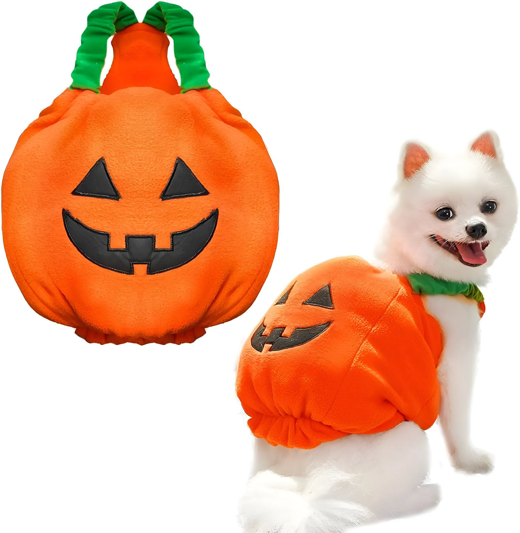 Orange plush pumpkin costume on a small dog for Halloween