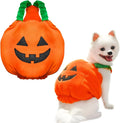 Orange plush pumpkin costume on a small dog for Halloween