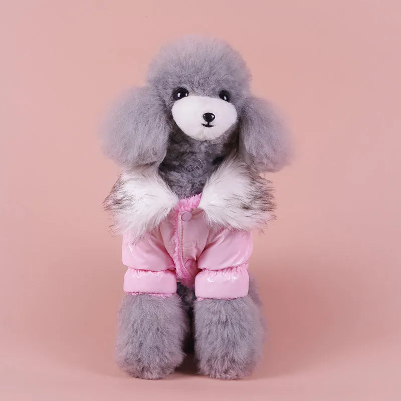 Blue cotton down jacket for puppy with British style design for autumn and winter wear