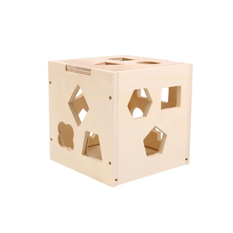 Pine wood matching intelligence box cube toy for ages 1 to 3 years, 530g, in a colour box.
