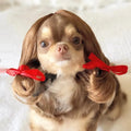 Adjustable pet wig sheath headdress in nylon fibre with 30-60cm fit range