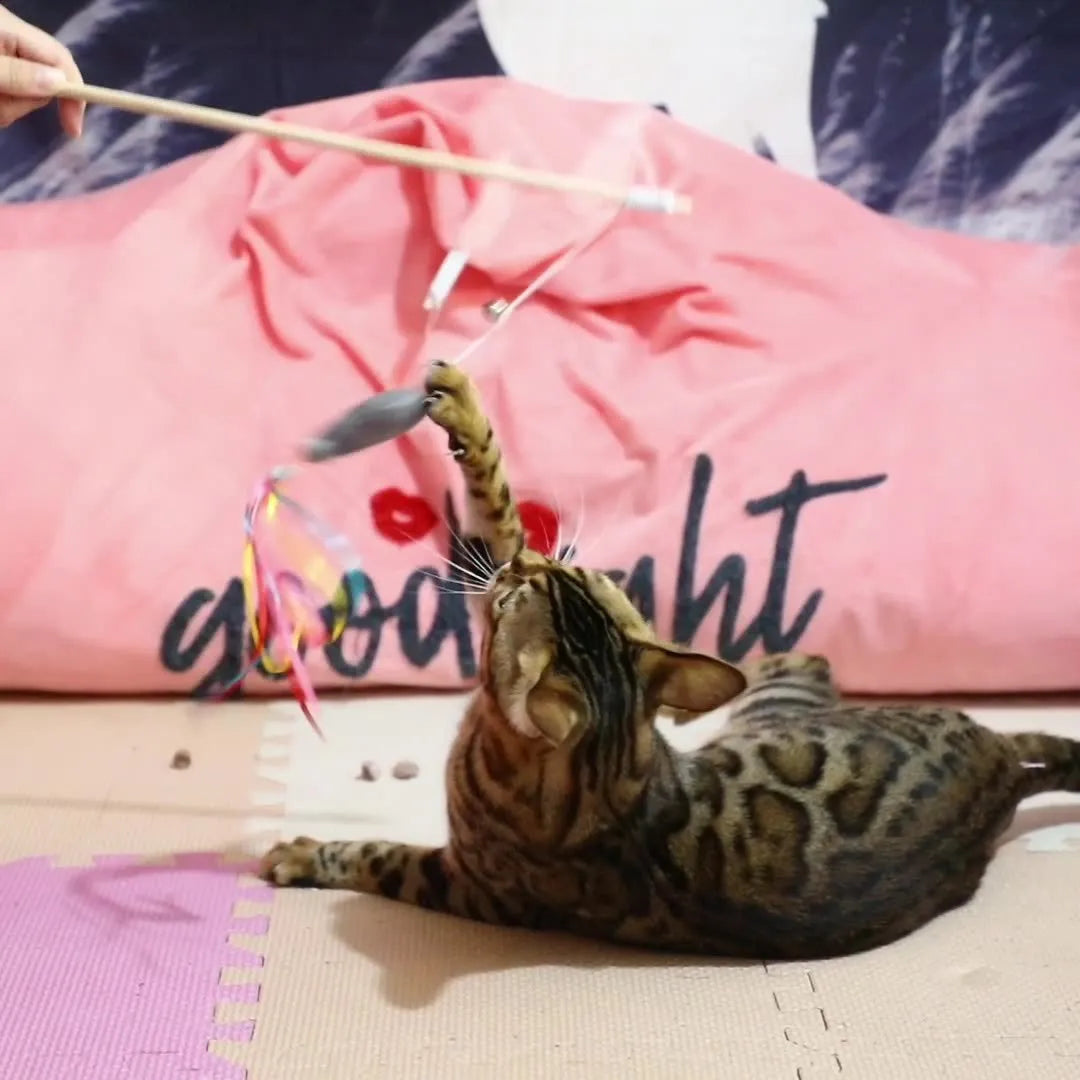 Cat wand toy with wooden handle, colourful ribbons, catnip attachment, and bell for interactive feline play