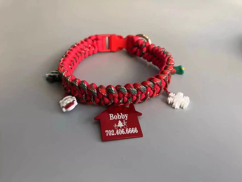 Green P chain dog leash with braided nylon handle and POM release buckle for medium dogs