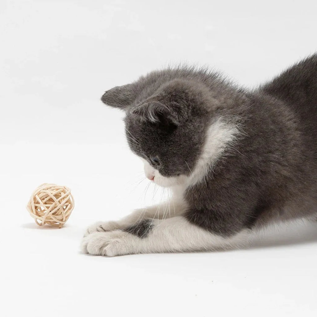 Two cat toys: faux feather ball measuring 4x9cm and hollow rattan ball with 3.5cm diameter