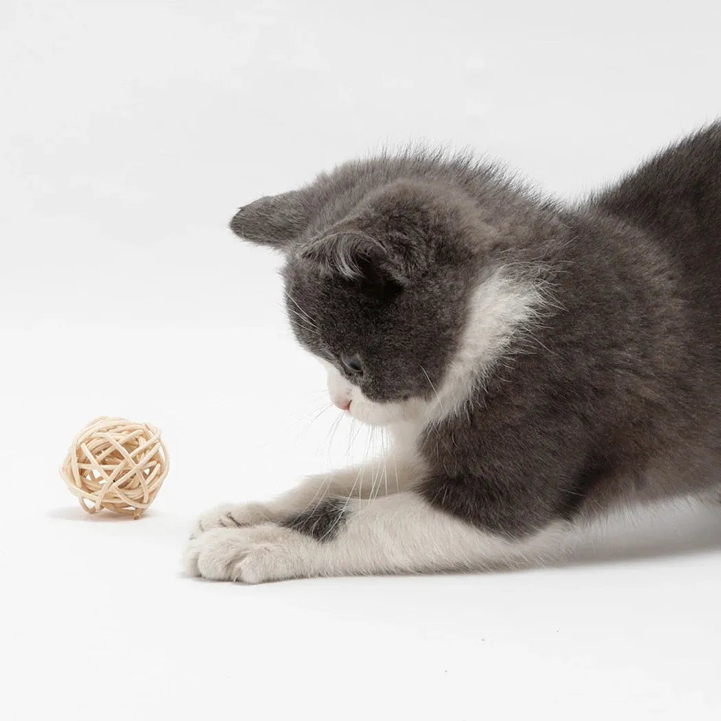 Two cat toys: faux feather ball measuring 4x9cm and hollow rattan ball with 3.5cm diameter