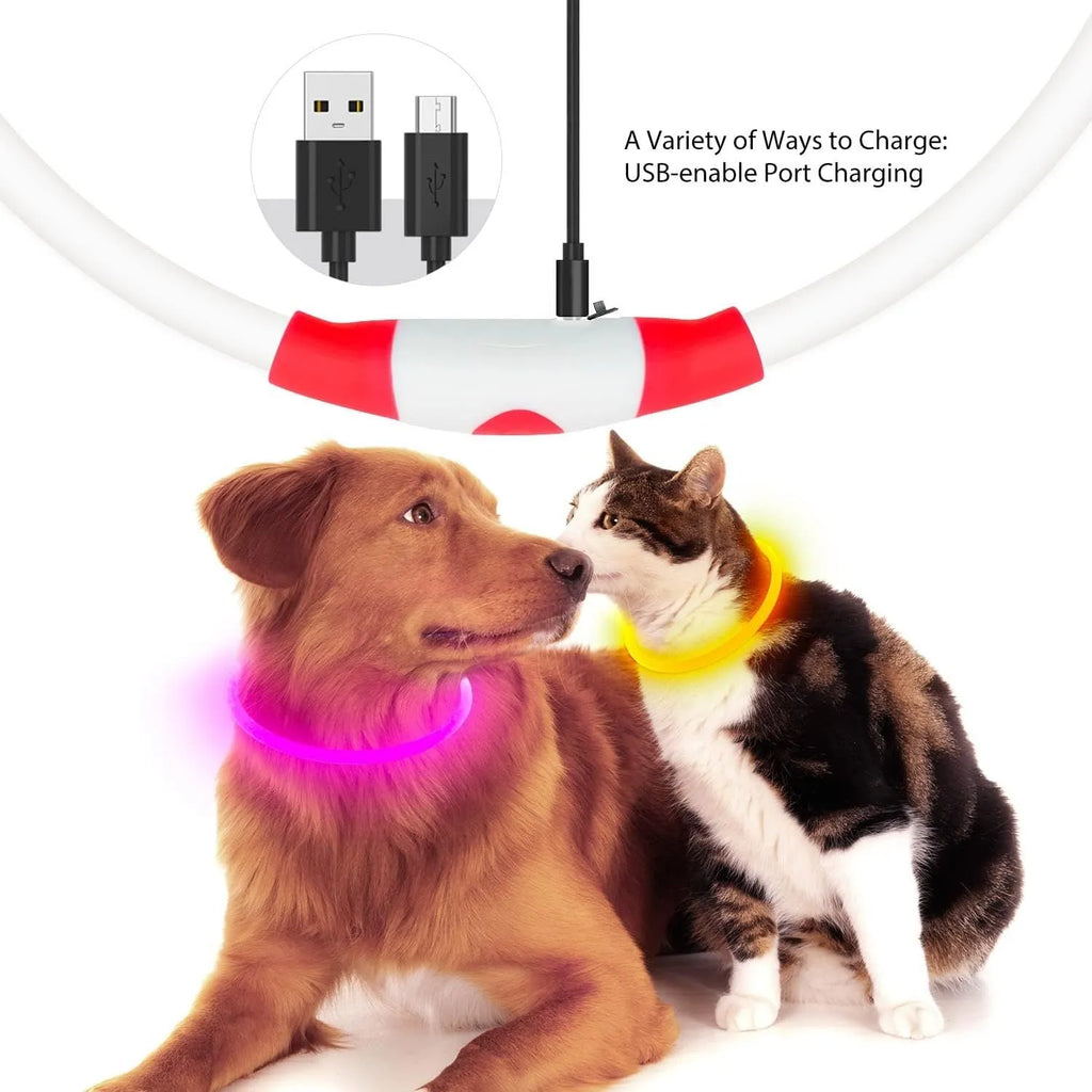 USB-rechargeable LED dog collar glowing in blue with adjustable 70cm length for pet safety