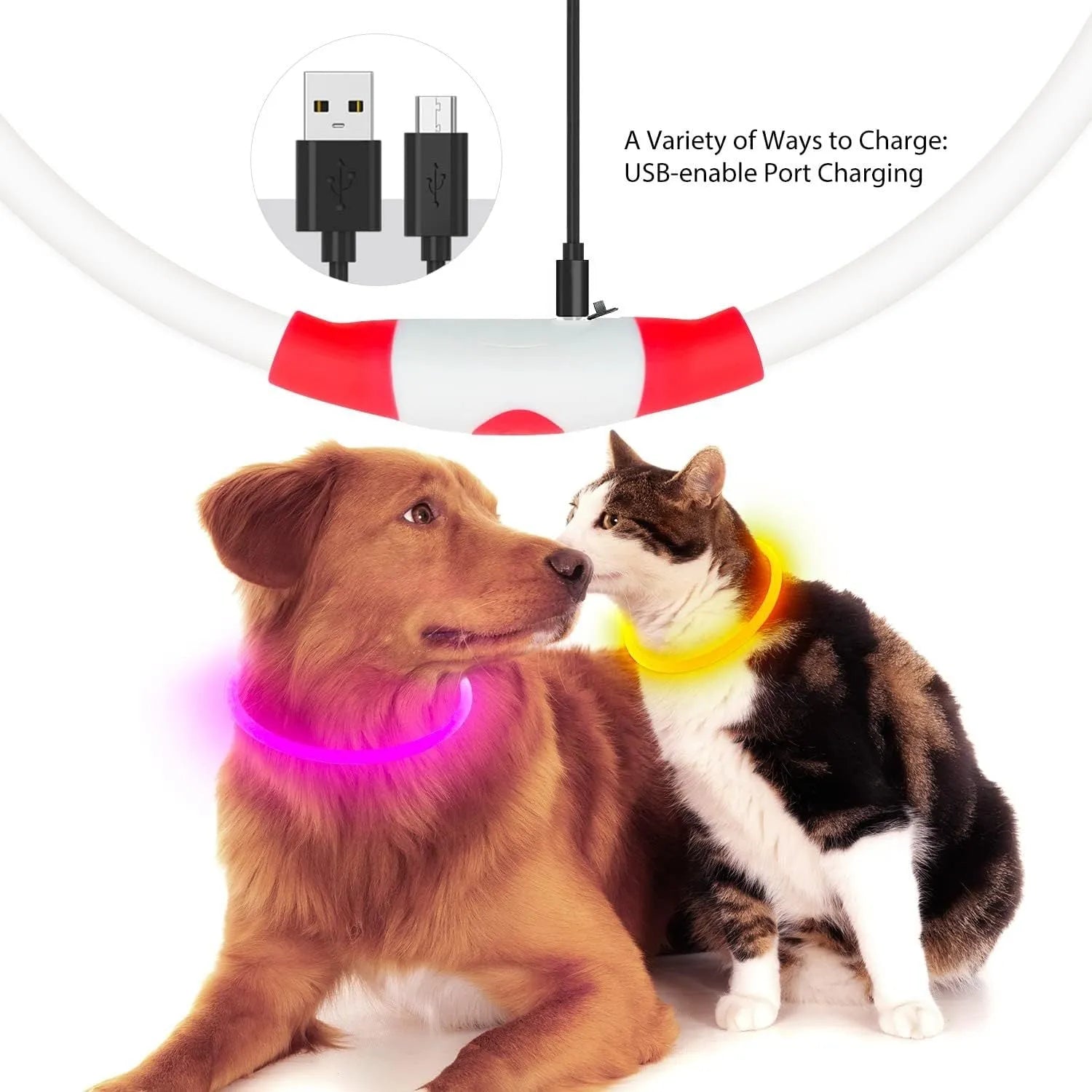 USB-rechargeable LED dog collar glowing in blue with adjustable 70cm length for pet safety