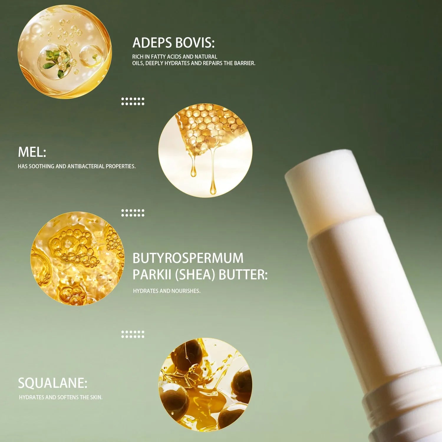 Tallow lip balm stick measuring 83mm long with 19mm square profile and 5g weight