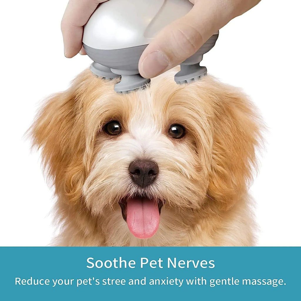 Blue handheld electric pet massager with rotating heads for cats and dogs on a grey background.