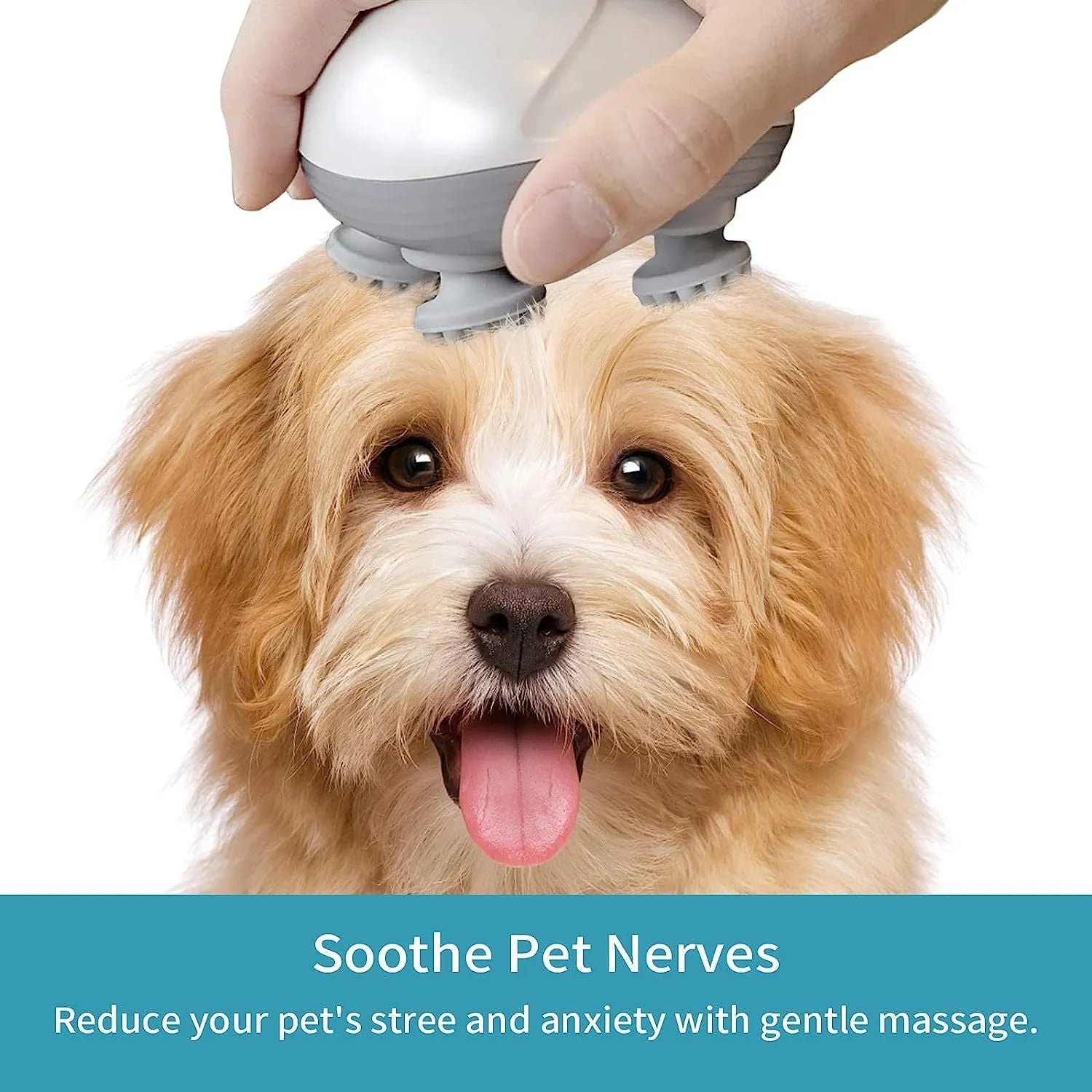 Blue handheld electric pet massager with rotating heads for cats and dogs on a grey background.
