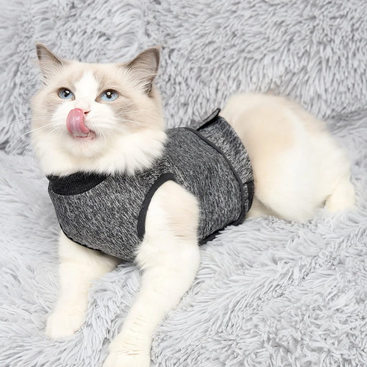 Grey pet mood soothing clothes for cats and dogs in cotton polyester, sizes XS to XXXL