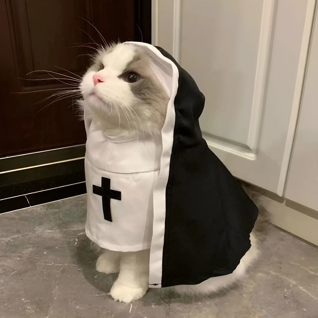 Black and white nun costume cloak on a small dog for Halloween.