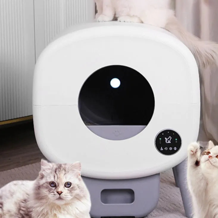 Automatic cat litter box with self-cleaning mechanism, 550mm width, 500mm depth, 645mm height dimensions