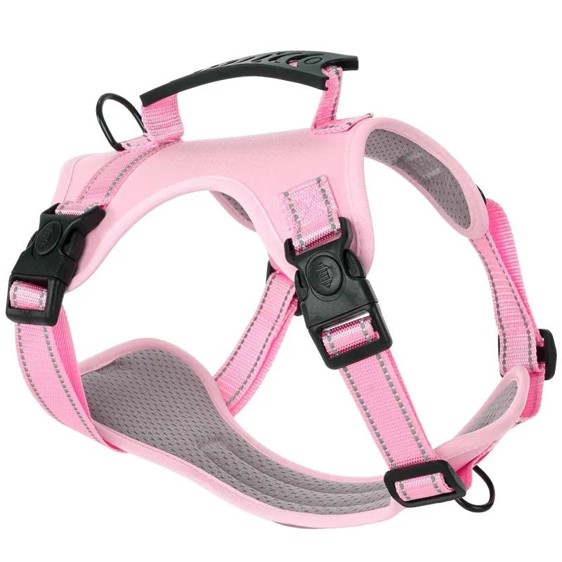 Adjustable dog harness in lake blue with reflective stitching and quick-release buckles, shown on a medium-sized dog.
