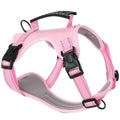 Adjustable dog harness in lake blue with reflective stitching and quick-release buckles, shown on a medium-sized dog.