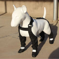 Black waterproof dog shoes with rubber soles and Velcro straps for paw protection