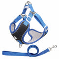 Adjustable mesh dog harness with reflective piping on small dog, showing chest and back straps