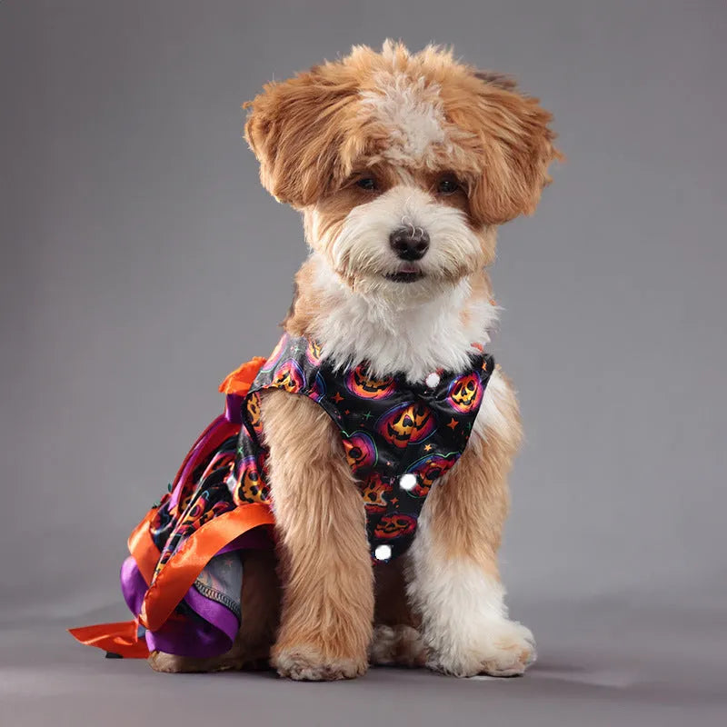 Halloween pet skirt with double-layer polyester in colourful pumpkin or skull design for dogs