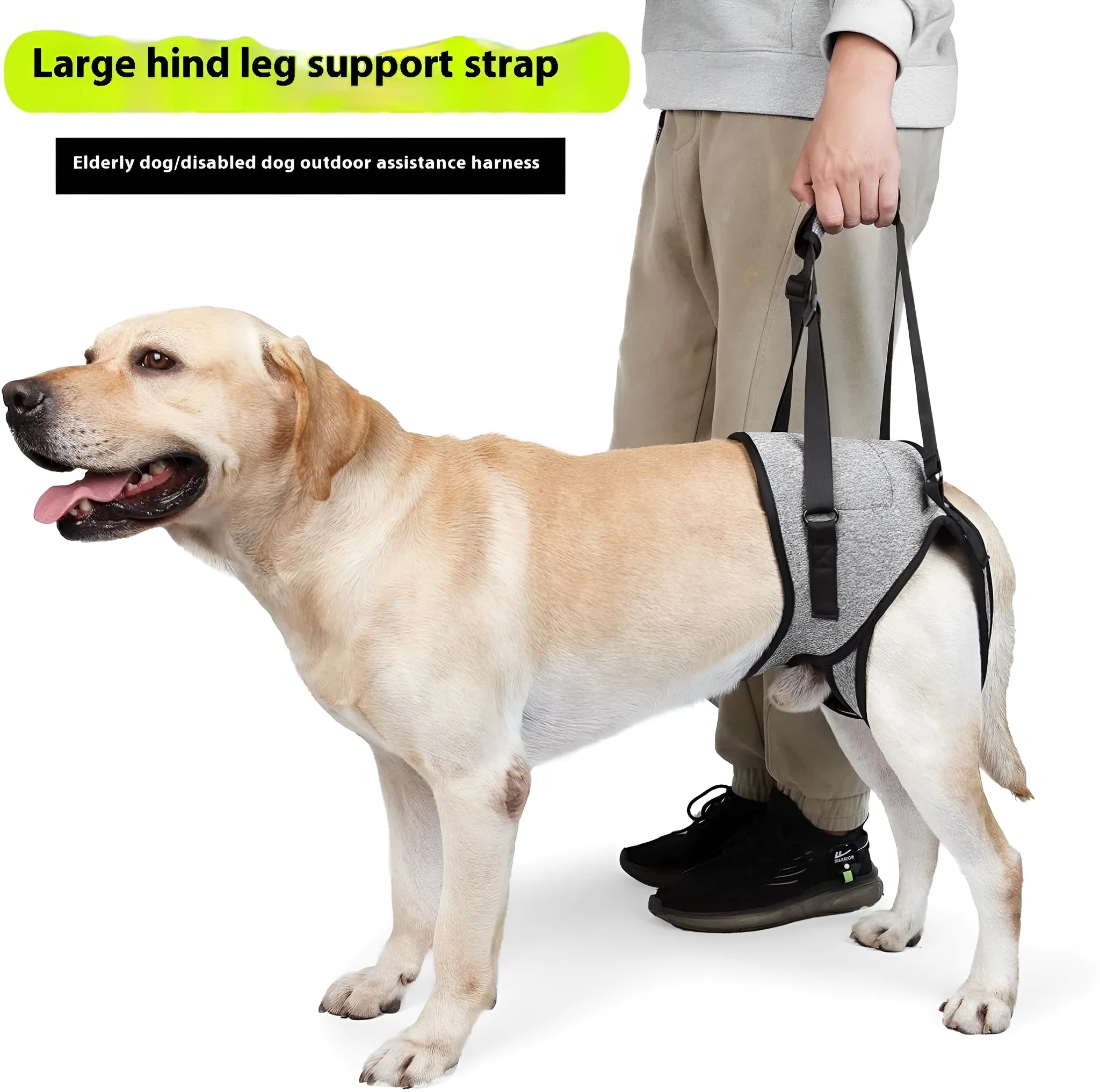 Grey neoprene dog rear leg recovery support belt showing adjustable design for injured dogs