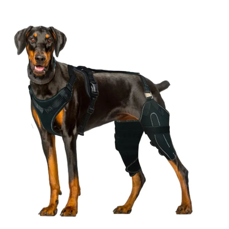Black dog thigh protective sleeve with adjustable metal support for postoperative leg warming