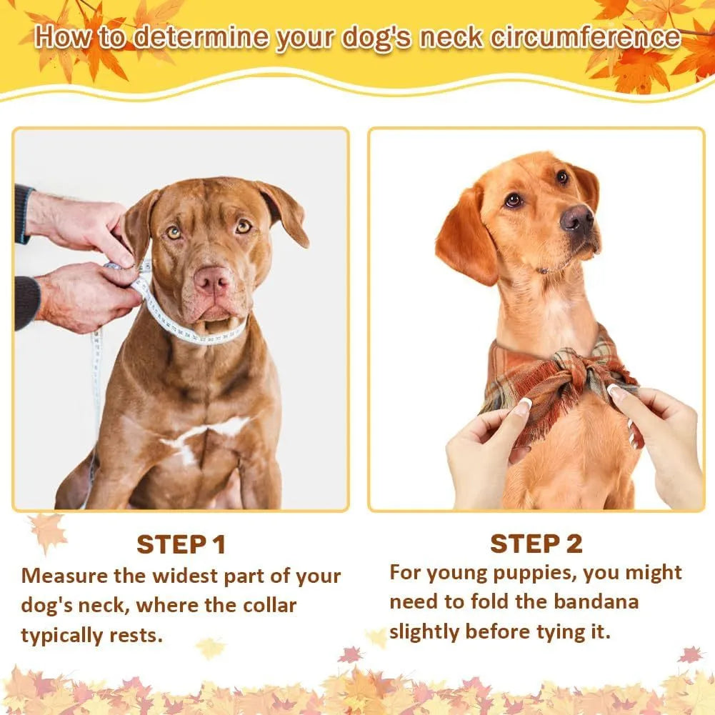 Plaid triangle dog bandana with tassel edges in autumn colours on a dog's neck.