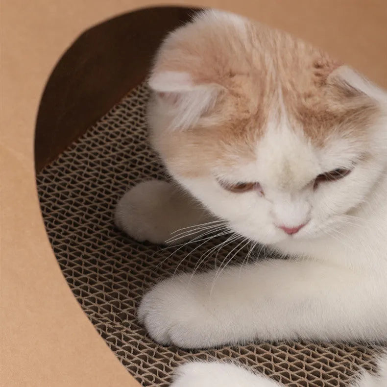 Brown washable kraft paper cat nest with integrated corrugated paper scratching board