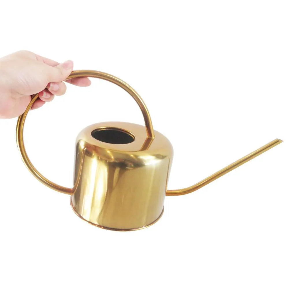 Stainless steel watering can with long spout, 2 litre capacity, shown in black finish.