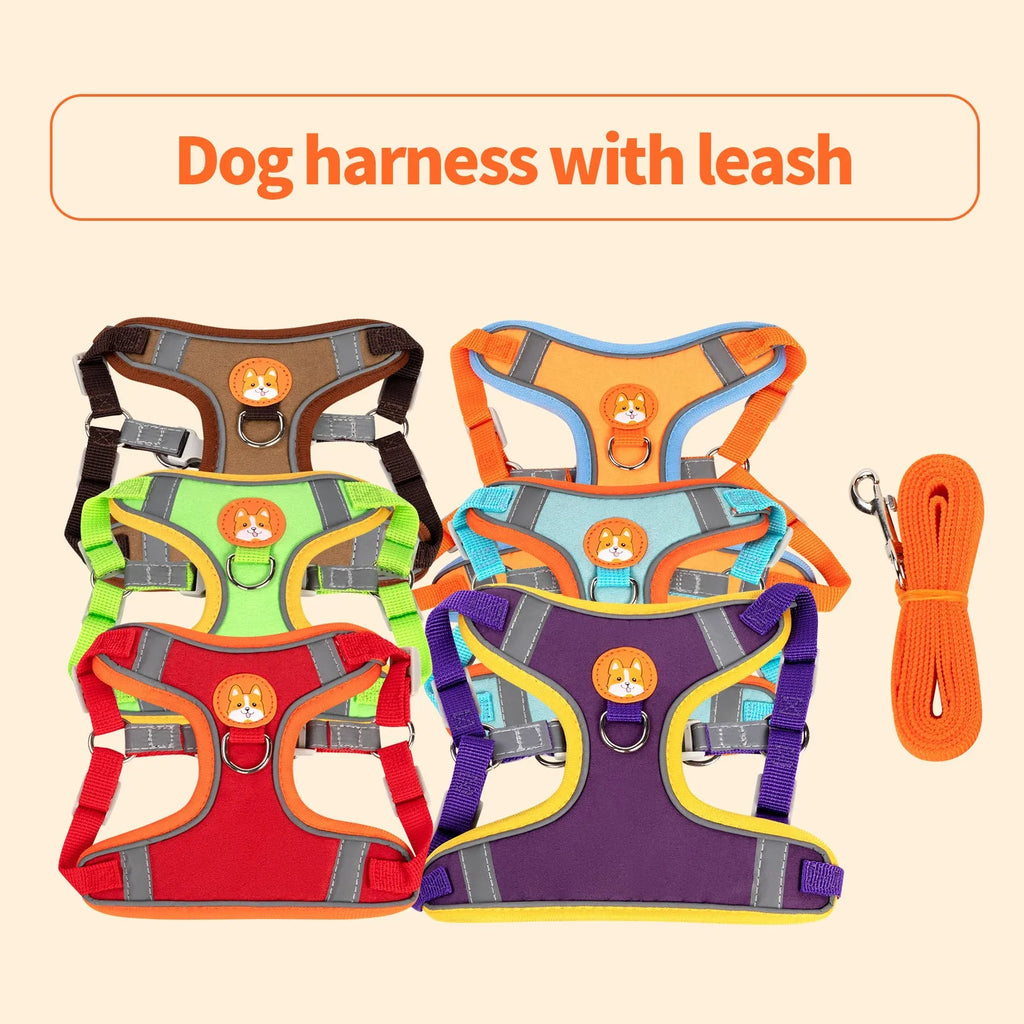 Adjustable dog harness in purple with chest strap and anti-breaking haulage rope, sized for medium dogs