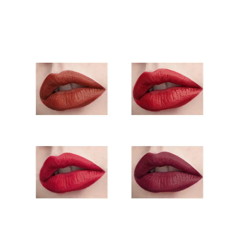 Matte lipstick 3.2g in shades 01 H, 02, 03, and 04, moisturising and waterproof for adult women