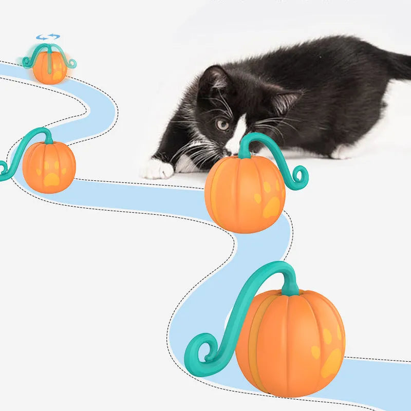 Electric luminous cat toy ball in watermelon or pumpkin design for indoor feline play