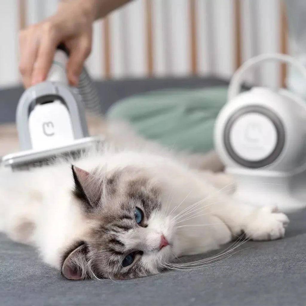 White pet grooming clipper with thinning comb, hair comb, and cleaning brush on a flat surface