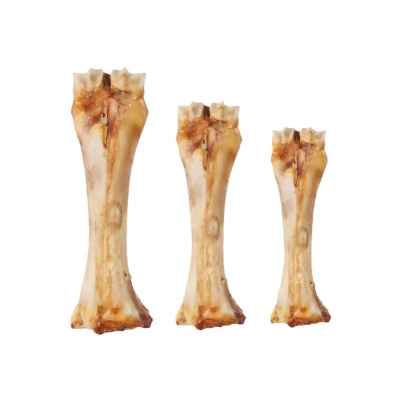 Puppy molar rod dental chew with textured surface for teeth cleaning and calcium supplementation
