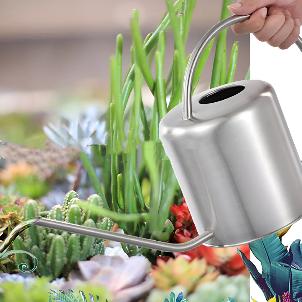 Stainless steel watering can with long spout, 2 litre capacity, shown in black finish.