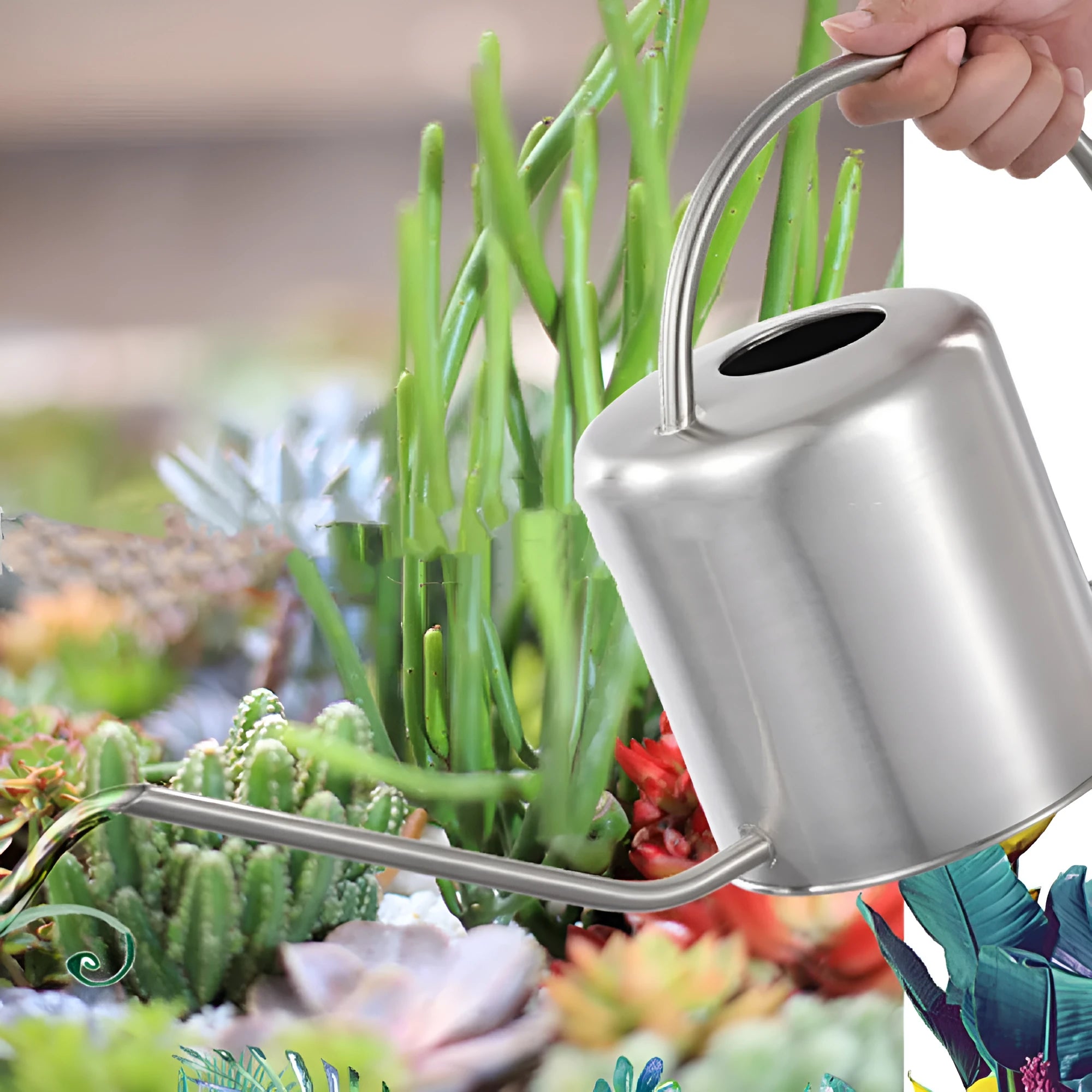 Stainless steel watering can with long spout, 2 litre capacity, shown in black finish.