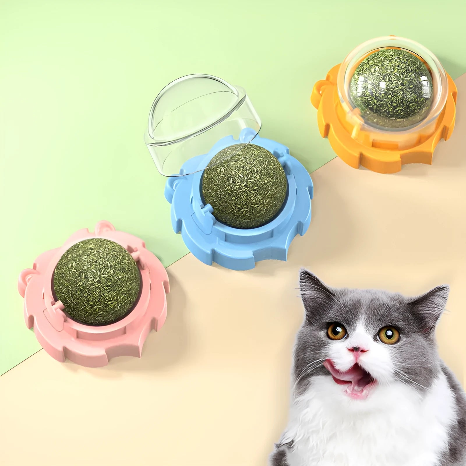 Adhesive catnip molar pet toy in blue, orange, or pink colours with textured surface