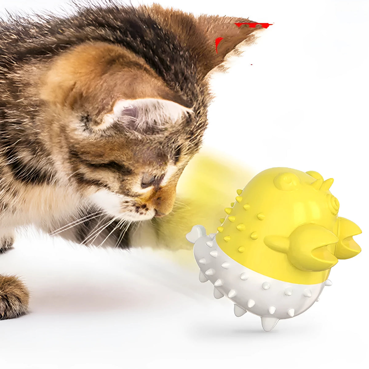 Electric vibration cat toy in TPR with USB charging, 360-degree cleaning design, 0.11KG, blue green yellow