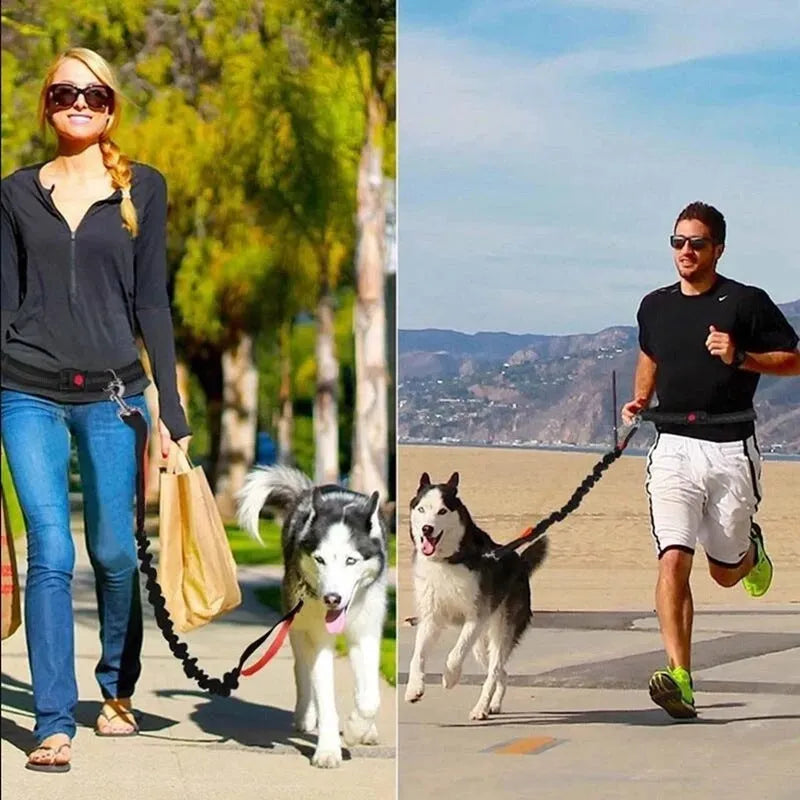 Adjustable nylon dog leash in fluorescent green, orange, and light blue, one size, for walking and jogging