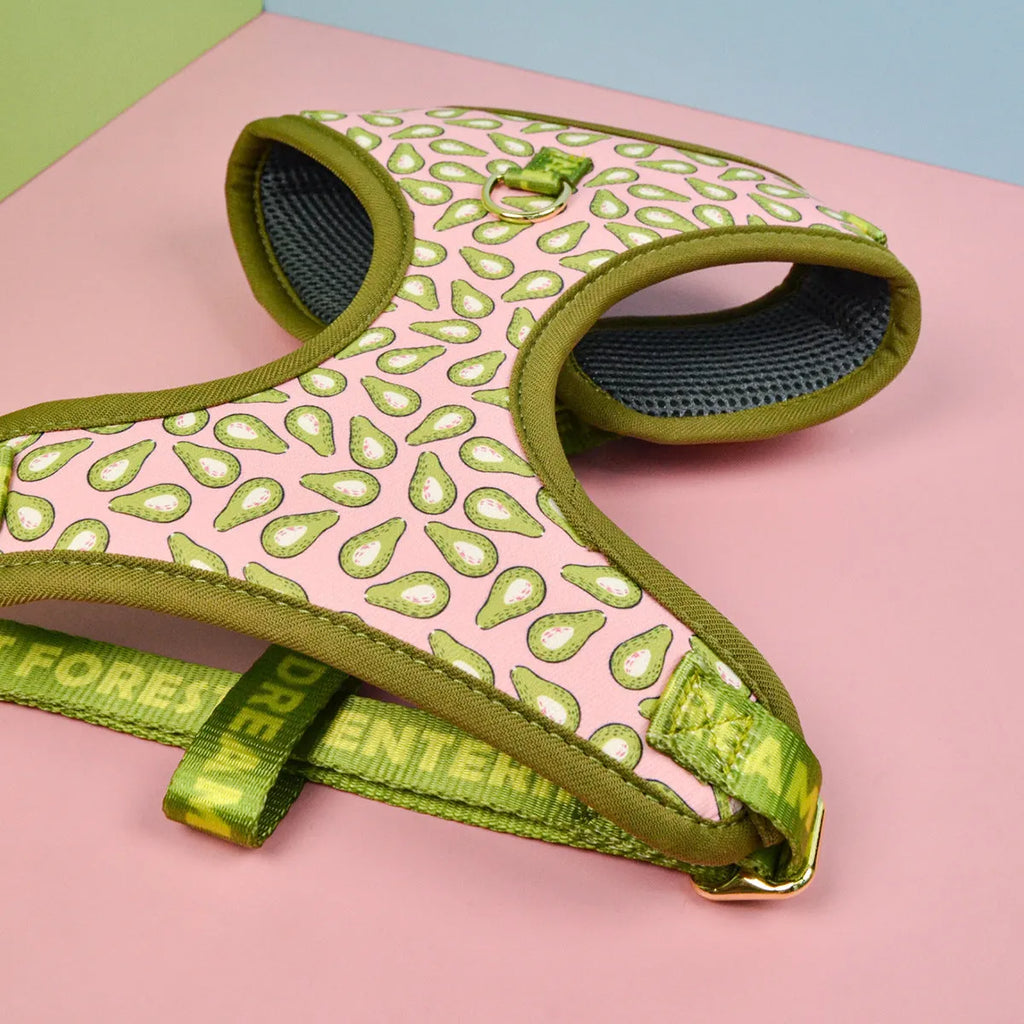 Summer dog harness and lead set in a playful pink avocado print, fitted on a medium-sized dog.