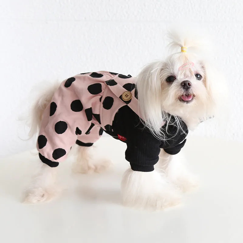 Dog wearing a cloth couple outfit with a shoulder strap and lapel, showing the four-legged suit style option.